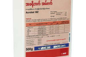 အခရိုဘက် - အမ်ဇက်