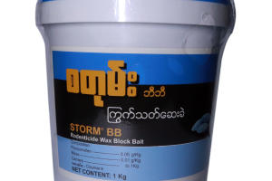 စတုမ်း ဘီဘီ