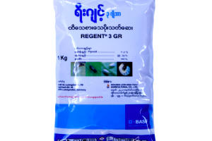 ရီးဂျင့် ၃ ဂျီအာ
